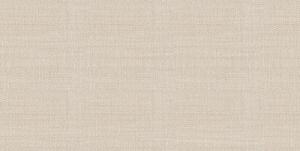 TWU09ATR044 плитка облицовочная Asteria 249*500*7,5