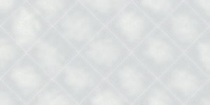 Adele Arctic WT9ADE03 Плитка настенная 249*500*8,5 (10 шт в уп/67.23 м в пал)