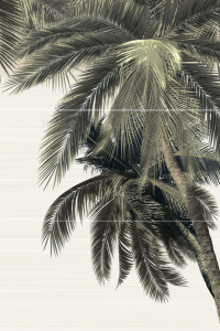 PWU09DLM2 панно из 3 плиток Del Mare 500x747x7,5 (3 к-та в коробке)