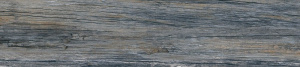 21569_full