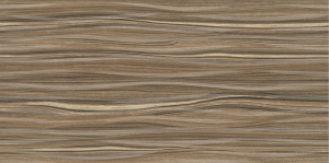 TWU09PLS404 плитка облицовочная Plesso 249x500x8,5