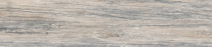 20093_full