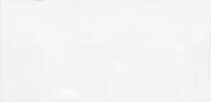 TWU09MNR030 плитка облицовочная рельефная Monocolor 249*500*8,5