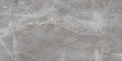 D120246L
