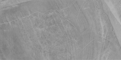 D120204M