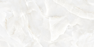 60120TLN02P 60120TLN02P