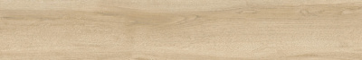GP20120NAT01