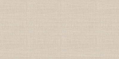 TWU09ATR044 плитка облицовочная Asteria 249*500*7,5