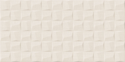 TWU09ATR004 плитка облицовочная Asteria 249*500*8,5