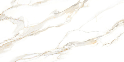 60120SAC11P 60120SAC11P