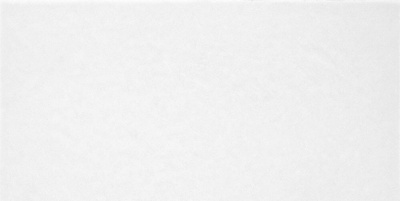 TWU09MNR020 плитка облицовочная Monocolor 249x500x7,5