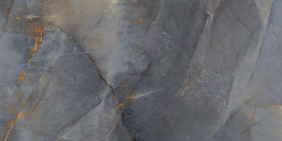 60120PRM21HG 60120PRM21HG