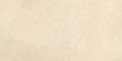 Petra Beige WT9PET11 Плитка настенная 249*500*8,5