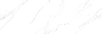 TWU11LZO004
