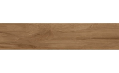 24421_large