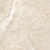 GFU6060BST04R