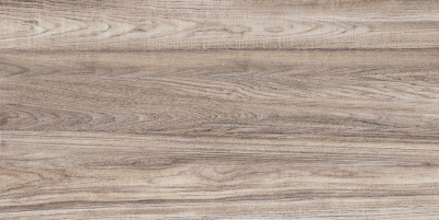 TWU09DBL404 плитка облицовочная Dublin 249*500*7,5