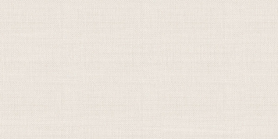 TWU09ATR024 плитка облицовочная Asteria 249*500*7,5