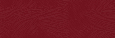 TWU11RMA500 плитка облицовочная Irma 200*600*8