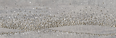 DWU93WZR71R декор Wizard 300*900*9,5 (4 шт. в коробке)